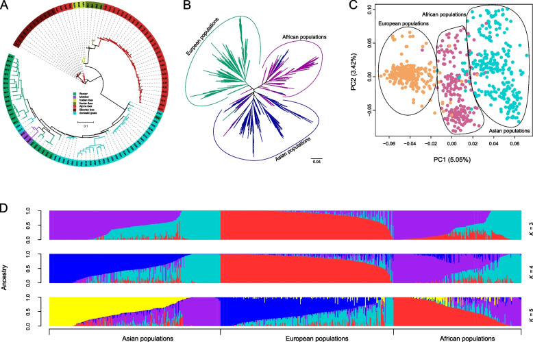 The goat pan-genome reveals patterns of gene loss during domestication.