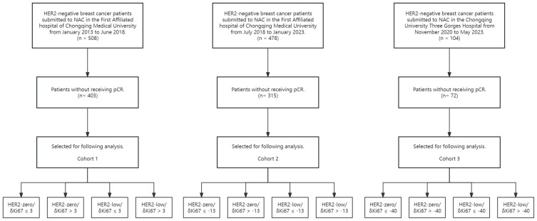 Improved Prognosis in HER2-Low Breast Cancer Patients with Reduced Ki67 Index After Neoadjuvant Chemotherapy: A Multi-Center Retrospective Study.