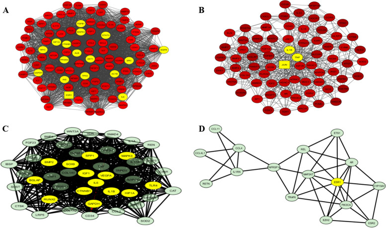 In-silico analysis predicts disruption of normal angiogenesis as a causative factor in osteoporosis pathogenesis.