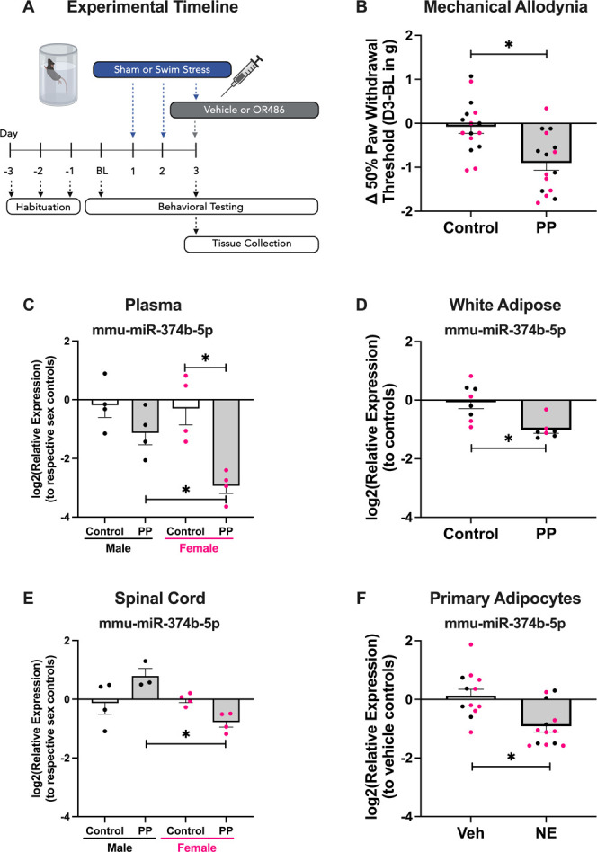 miR-374 family is a key regulator of chronic primary pain onset.