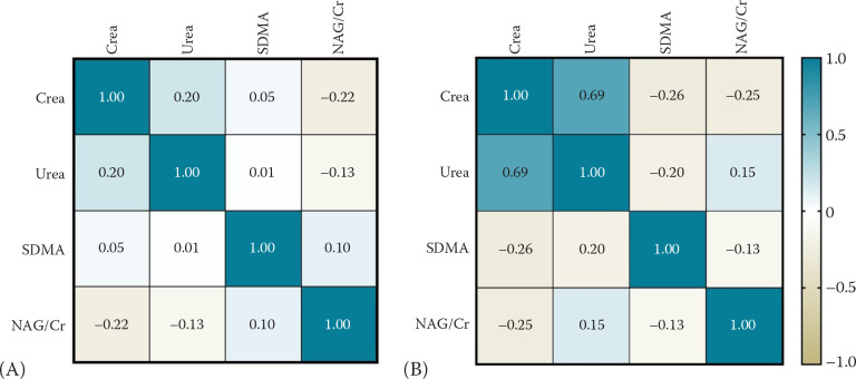 <i>N</i>-acetyl-β-D-glucosaminidase in clinically healthy German Shepherd dogs and dogs with early stages of chronic kidney disease.