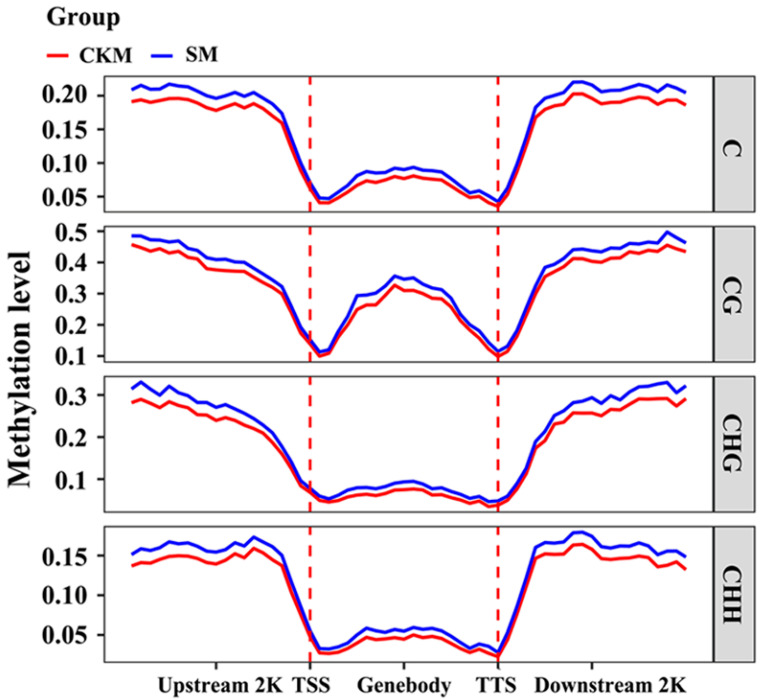 Transcription Factors Are Involved in Wizened Bud Occurrence During the Growing Season in the <i>Pyrus pyrifolia</i> Cultivar 'Sucui 1'.