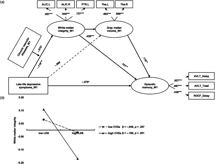 Longitudinal association between depressive symptoms and cognitive function: the neurological mechanism of psychological and physical disturbances on memory.