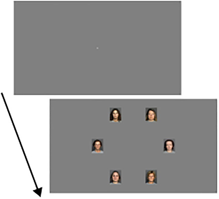 Do you look longer at attractive faces? It depends on what you are looking for.