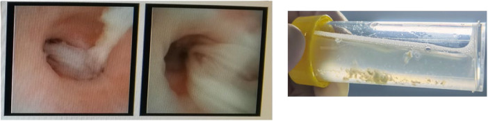 Abstract Image