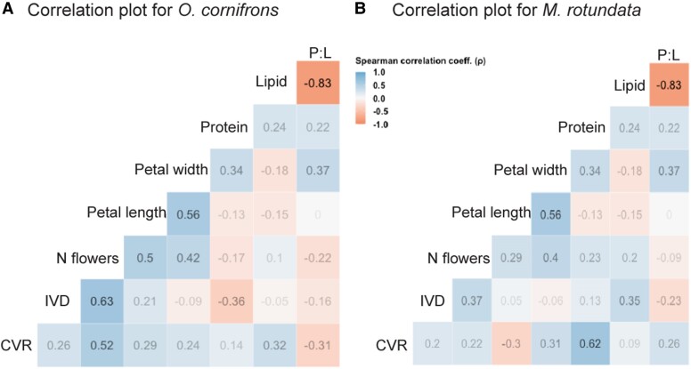 Foraging bee species differentially prioritize quantity and quality of floral rewards.