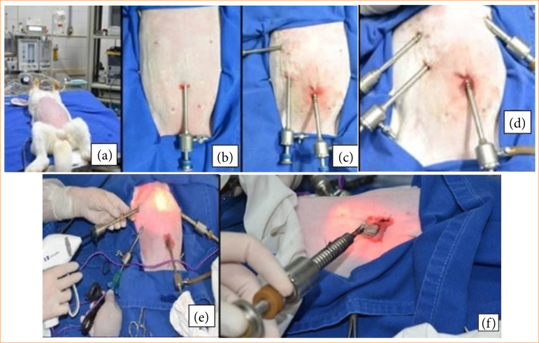 Comparison of postoperative outcomes between different dissection techniques during laparoscopic cholecystectomy in rabbits: randomized study.
