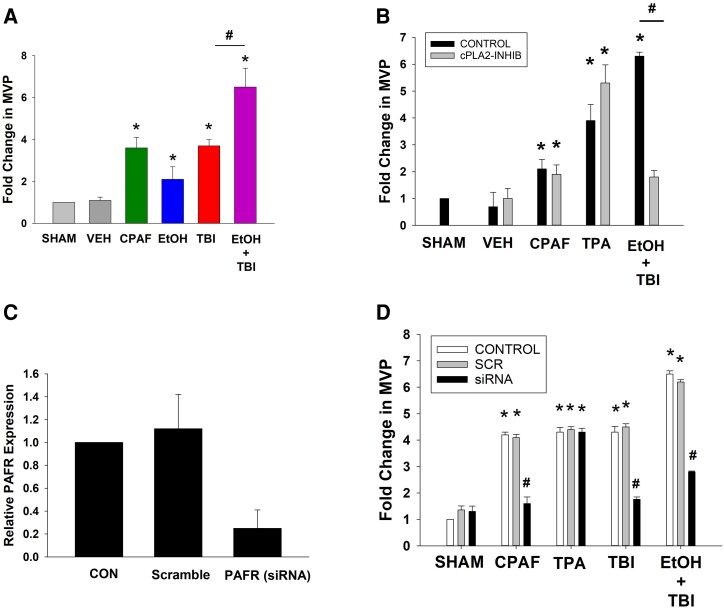 Evidence that keratinocyte microvesicle particles carrying platelet-activating factor mediate the widespread multiorgan damage associated with intoxicated thermal burn injury.