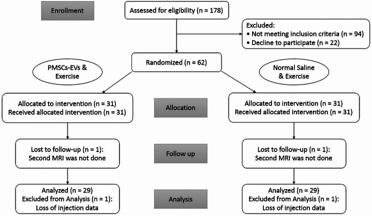 Safety and efficacy of placental mesenchymal stromal cells-derived extracellular vesicles in knee osteoarthritis: a randomized, triple-blind, placebo-controlled clinical trial.