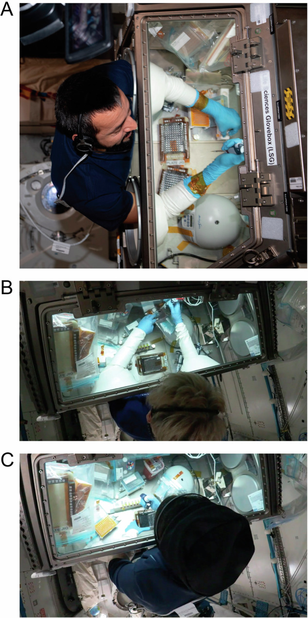 Surface tension enables induced pluripotent stem cell culture in commercially available hardware during spaceflight.
