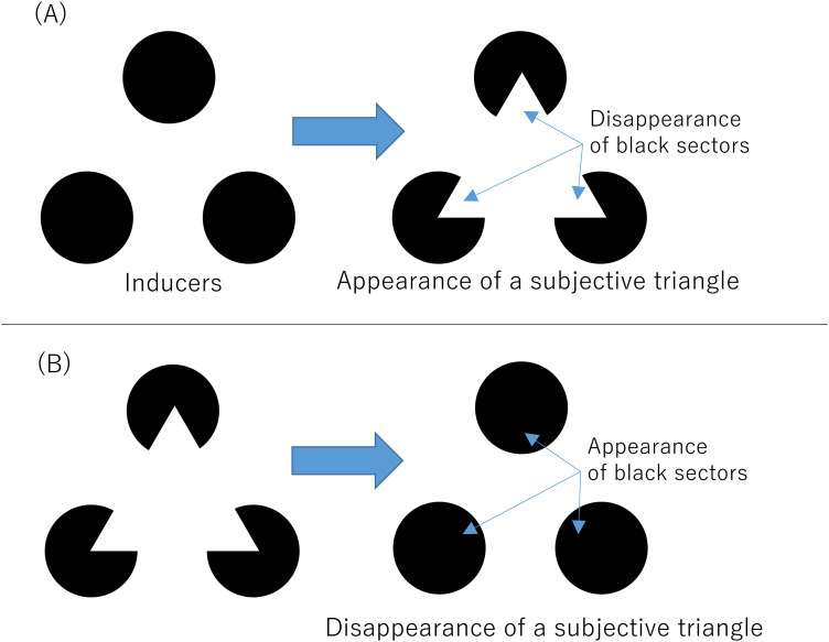 Factors contributing to transient-induced fading: Examining the impact of luminance contrasts and subjective contours.