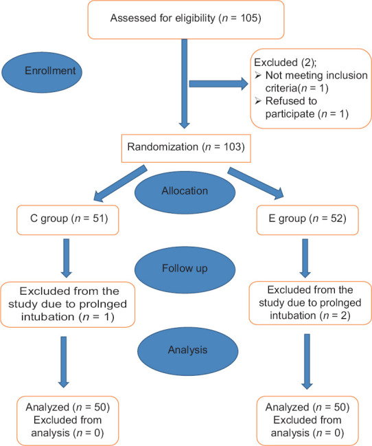 Bilateral Ultrasound-Guided Erector Spinae Plane Block for Management of Acute Postoperative Surgical Pain After Pediatric Cardiac Surgeries Through a Midline Sternotomy.