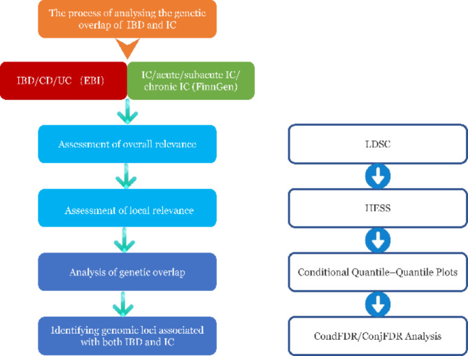 Genetic overlap between inflammatory bowel disease and iridocyclitis: insights from a genome-wide association study in a European population.