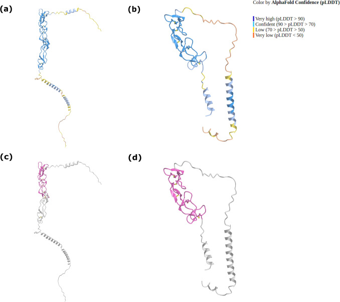 Cognitive Impact of Neurotropic Pathogens: Investigating Molecular Mimicry through Computational Methods.