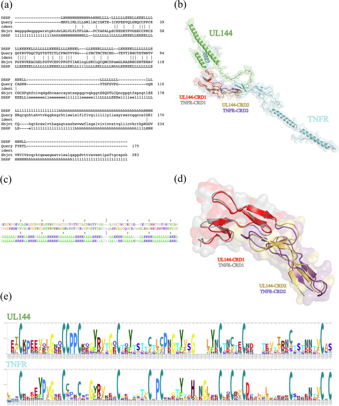 Cognitive Impact of Neurotropic Pathogens: Investigating Molecular Mimicry through Computational Methods.