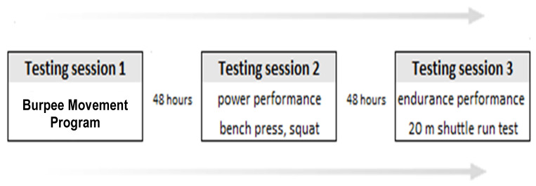 The Relationship Between the Burpee Movement Program and Strength and Endurance Performance Measures in Active Young Adults: A Cross-Sectional Analysis.