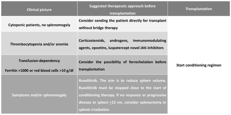 Treatment Strategies Used in Treating Myelofibrosis: State of the Art.