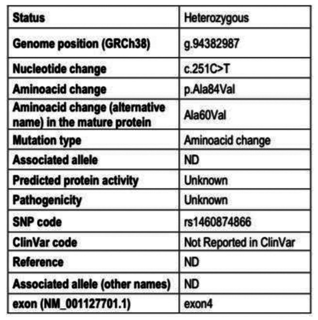 A novel alpha-1 antitrypsin gene variant in a patient with Kartagener's syndrome: a case report.