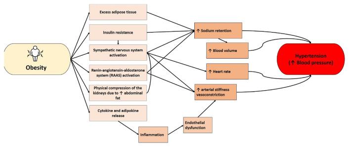 A Saudi Heart Association Position Statement on Obesity and Cardiovascular Disease.