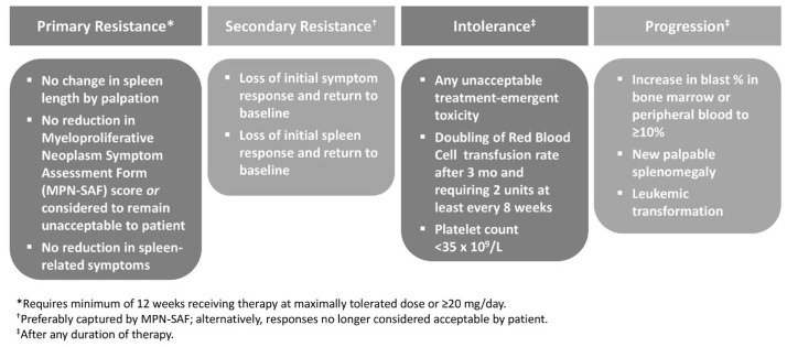 Treatment Strategies Used in Treating Myelofibrosis: State of the Art.