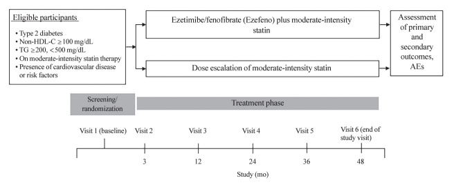 Study Design and Protocol for a Randomized Controlled Trial to Assess Long-Term Efficacy and Safety of a Triple Combination of Ezetimibe, Fenofibrate, and Moderate-Intensity Statin in Patients with Type 2 Diabetes and Modifiable Cardiovascular Risk Factors (ENSEMBLE).
