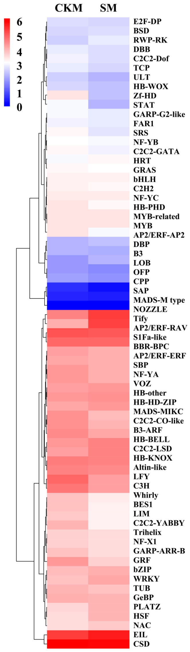 Transcription Factors Are Involved in Wizened Bud Occurrence During the Growing Season in the <i>Pyrus pyrifolia</i> Cultivar 'Sucui 1'.
