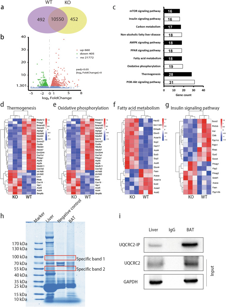 Abstract Image