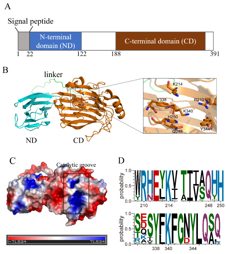 Direct Preparation of Alginate Oligosaccharides from Brown Algae by an Algae-Decomposing Alginate Lyase AlyP18 from the Marine Bacterium <i>Pseudoalteromonas agarivorans</i> A3.