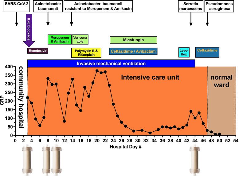 Successful Repeated Use of a Pathogen Adsorbing Biomimetic Device for the Adjunct Treatment of a SARS-CoV-2 Reinfection and Subsequent Infections with Different Multiresistant Bacteria.