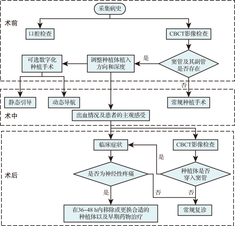 [Anatomy and function of the canalis sinuosus and its injury prevention and treatment strategies in implant surgery].