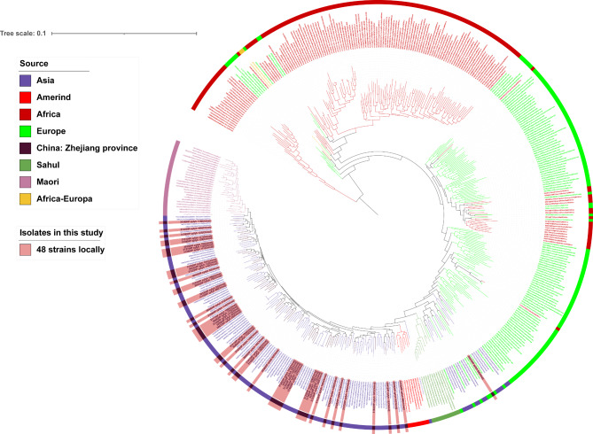 Whole-genome sequencing analyses and antibiotic resistance situation of 48 Helicobacter pylori strains isolated in Zhejiang, China.