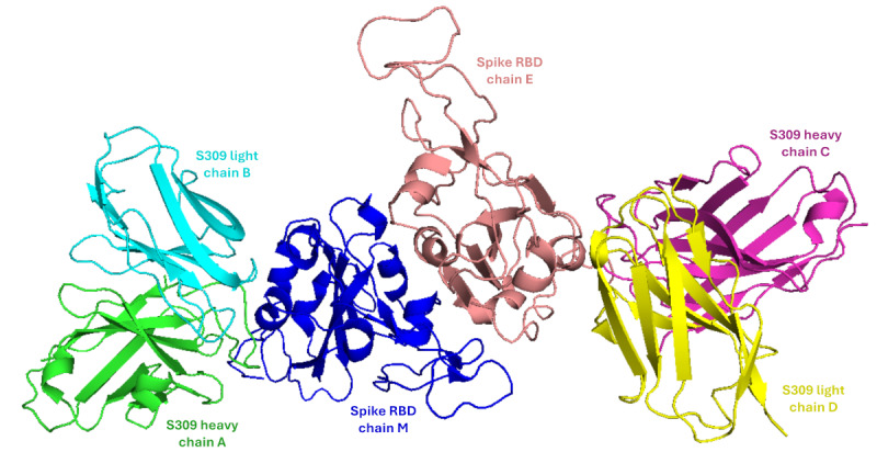 Comparison of the Neutralization Power of Sotrovimab Against SARS-CoV-2 Variants: Development of a Rapid Computational Method.