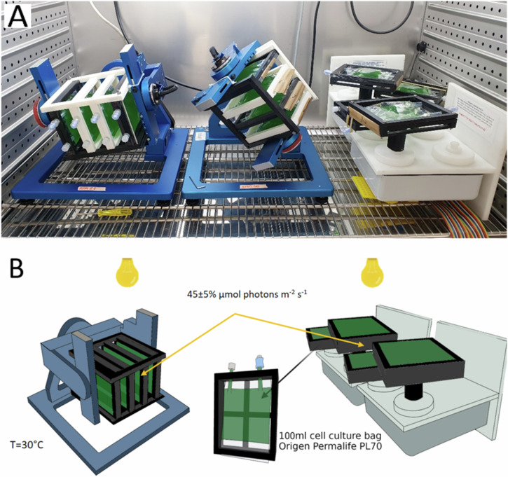 Development and implementation of a simulated microgravity setup for edible cyanobacteria.