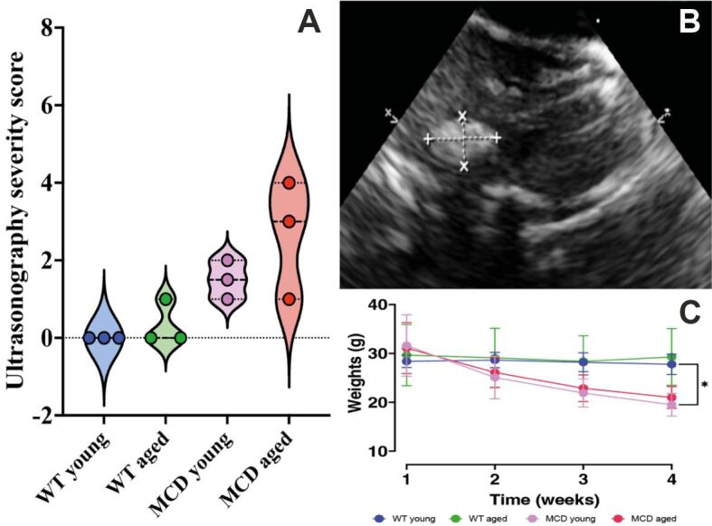Acute liver damage generates age independent microglia morphology changes in mice.
