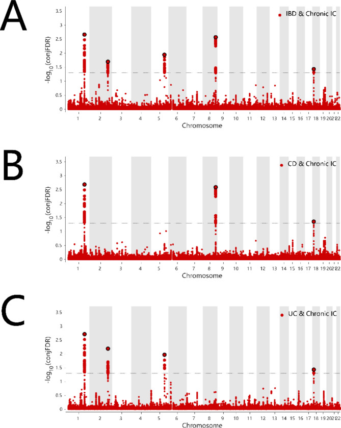 Genetic overlap between inflammatory bowel disease and iridocyclitis: insights from a genome-wide association study in a European population.