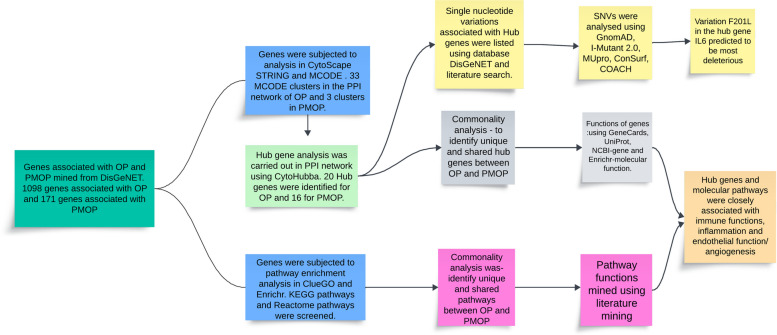 In-silico analysis predicts disruption of normal angiogenesis as a causative factor in osteoporosis pathogenesis.