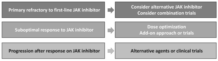 Treatment Strategies Used in Treating Myelofibrosis: State of the Art.