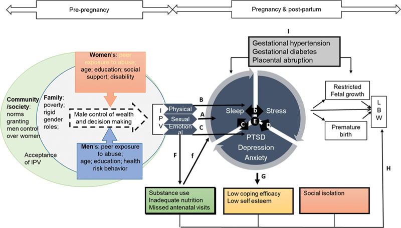 Lifetime Violence and Perinatal Sleep Quality: A Scoping Review.