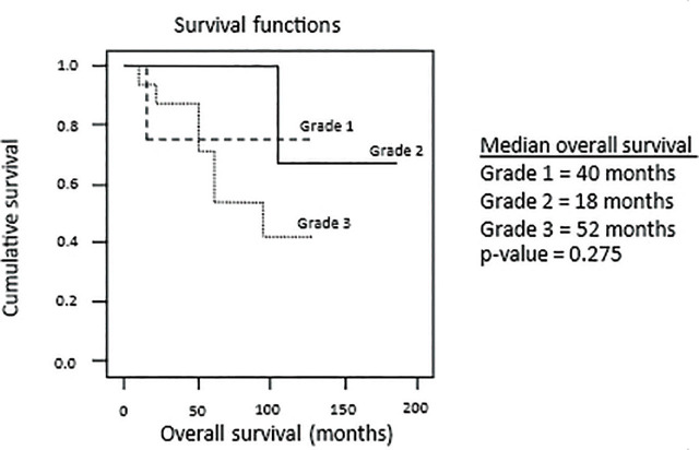 A preliminary study of primary retroperitoneal sarcoma at a tertiary University Hospital in Bangkok, Thailand: a retrospective observational study.