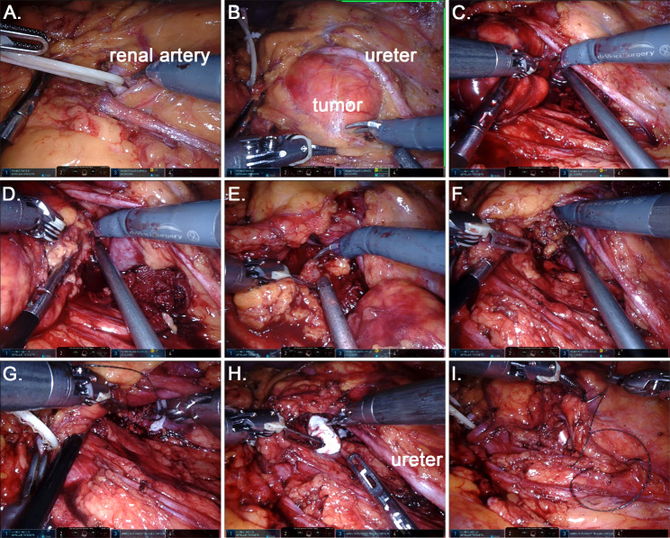 Abstract Image