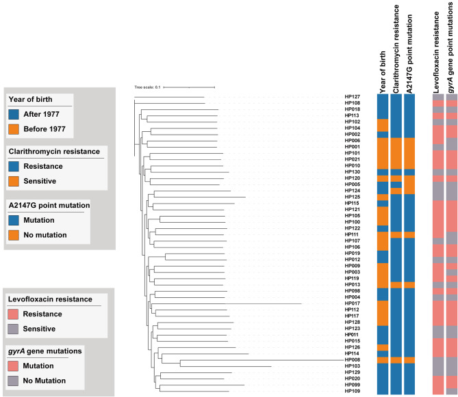 Whole-genome sequencing analyses and antibiotic resistance situation of 48 Helicobacter pylori strains isolated in Zhejiang, China.