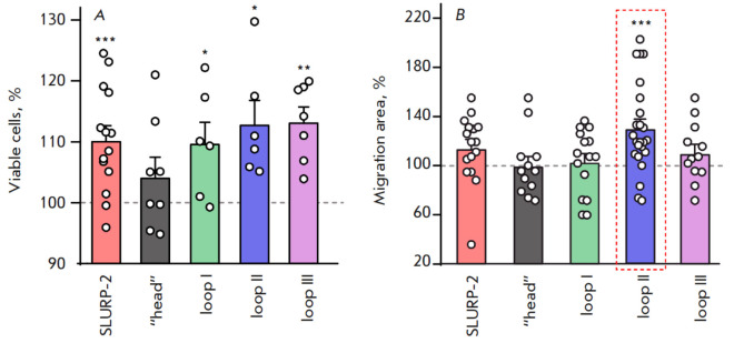 Peptide Mimicking Loop II of the Human Epithelial Protein SLURP-2 Enhances the Viability and Migration of Skin Keratinocytes.