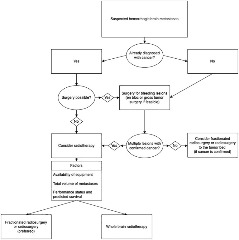 Should we be afraid of radiotherapy for hemorrhagic brain metastases? A narrative review.