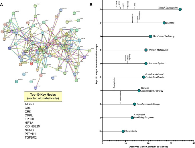 miR-374 family is a key regulator of chronic primary pain onset.