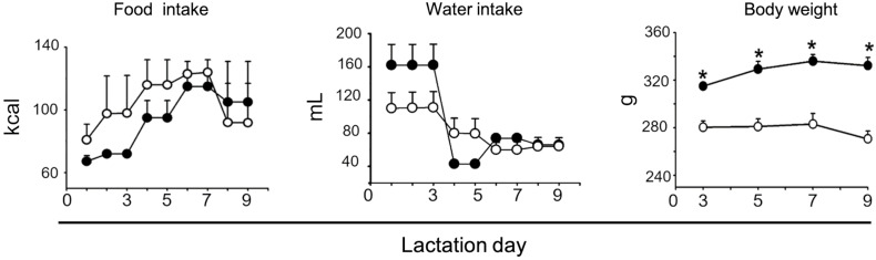 A maternal low-protein diet results in sex-specific differences in synaptophysin expression and milk fatty acid profiles in neonatal rats.