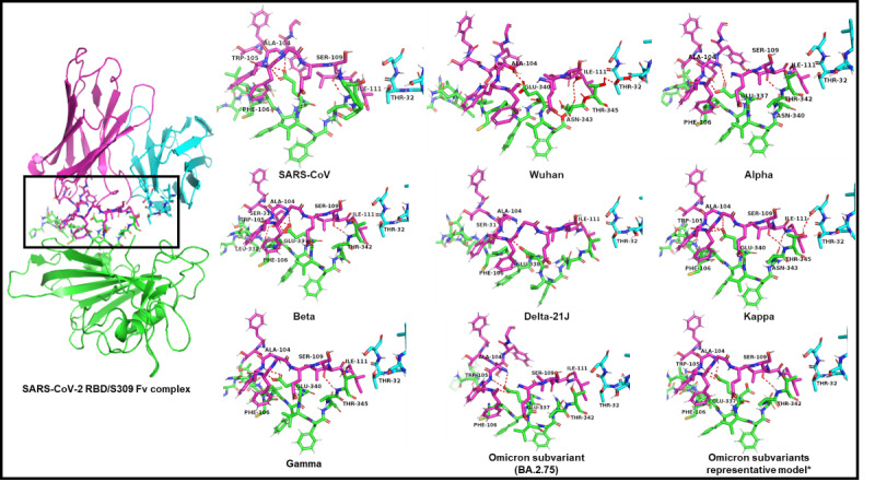 Comparison of the Neutralization Power of Sotrovimab Against SARS-CoV-2 Variants: Development of a Rapid Computational Method.