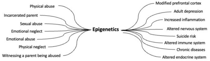 The evolution of ACEs: From coping behaviors to epigenetics as explanatory frameworks for the biology of adverse childhood experiences.