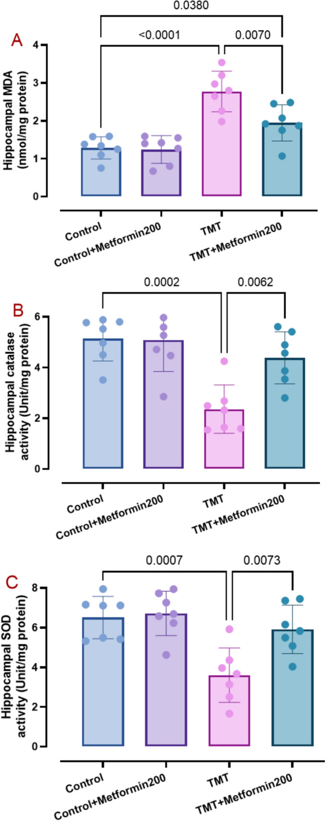 Metformin Mitigates Trimethyltin-Induced Cognition Impairment and Hippocampal Neurodegeneration.