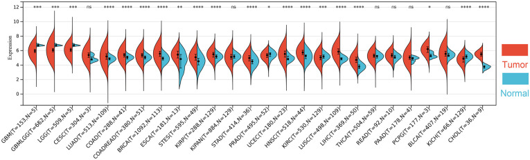 Unraveling the Mechanism of Action of Ubiquitin-Specific Protease 5 and Its Inhibitors in Tumors.