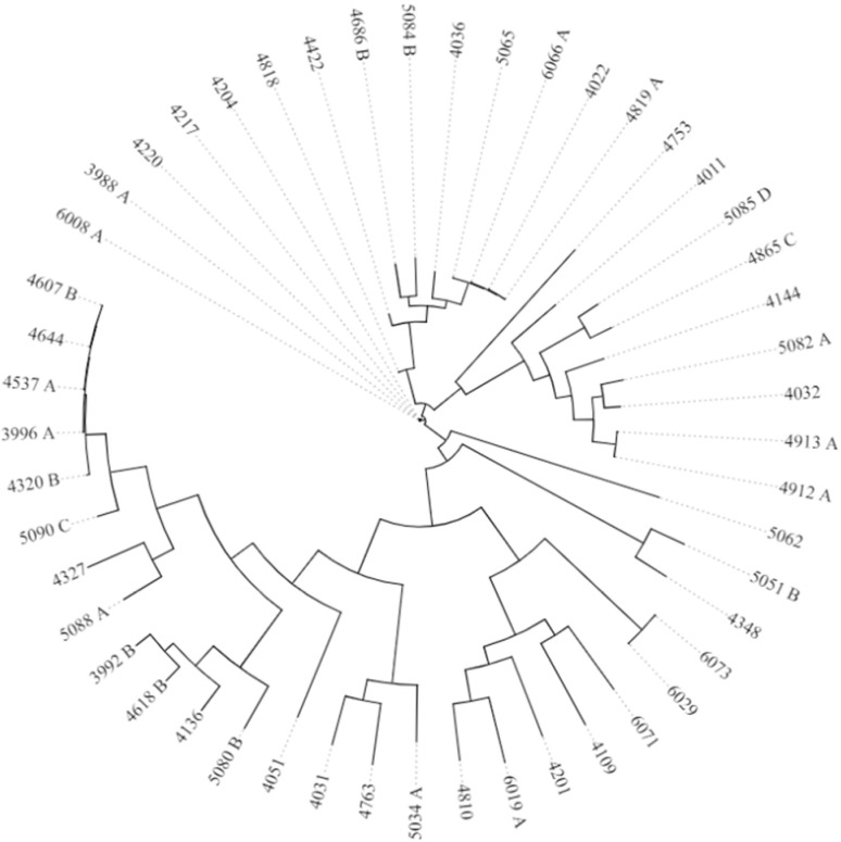 Characterization of the <i>Bacillus cereus</i> Group Isolated from Ready-to-Eat Foods in Poland by Whole-Genome Sequencing.